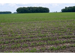 Property photo 57 - LAND AUCTION - 700+/- ACRES OFFERED IN 16 TRACTS IN ALLEN COUNTY, INDIANA